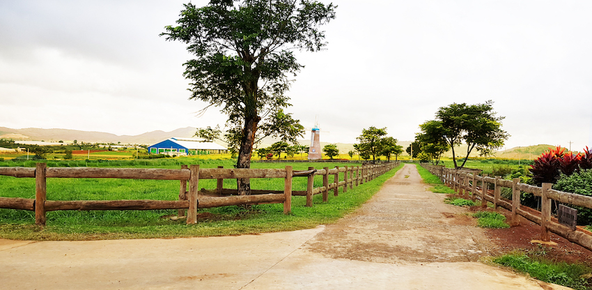 Vinamilk[-]mở[-]rộng[-]đầu[-]tư[-]v&agrave;o[-]miền[-]T&acirc;y[-]Nam[-]Bộ